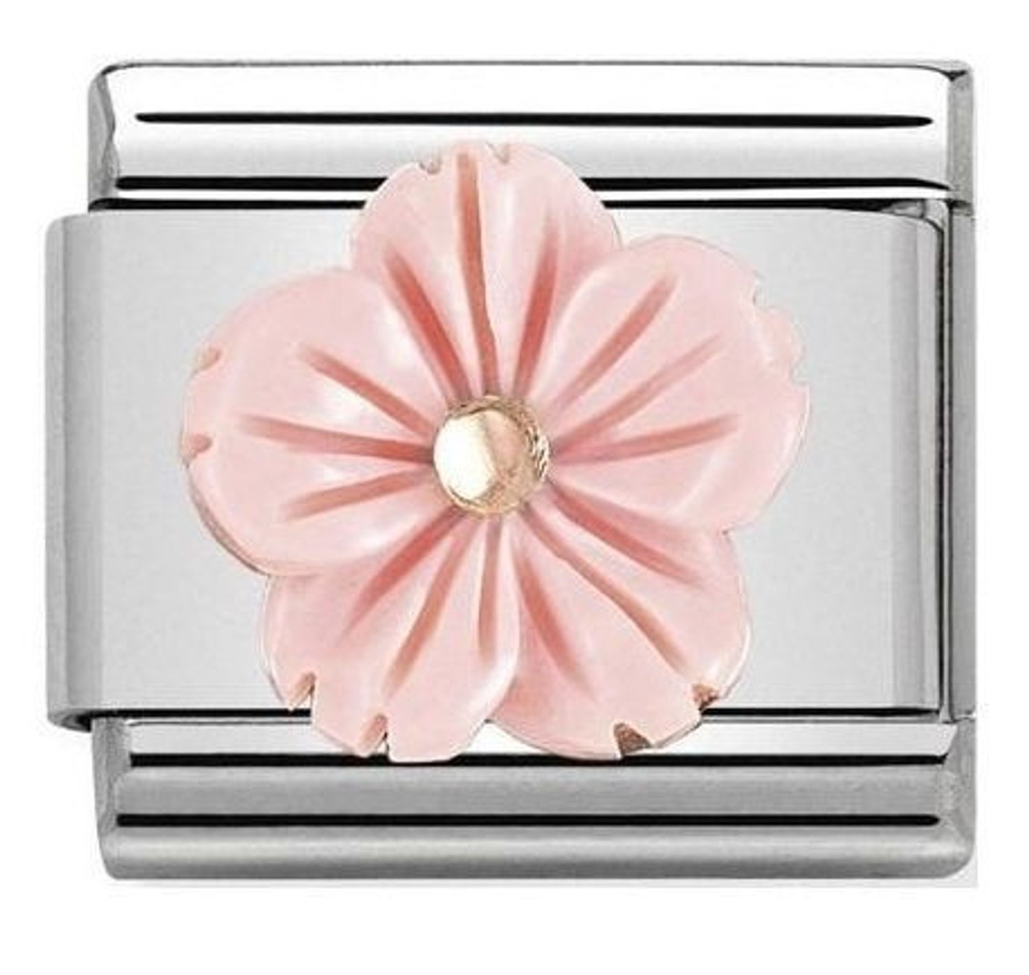 Charms Nomination 43051003.jpg